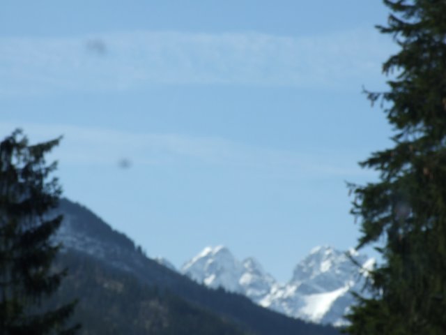 zielonaszkoasuche2010252.jpg