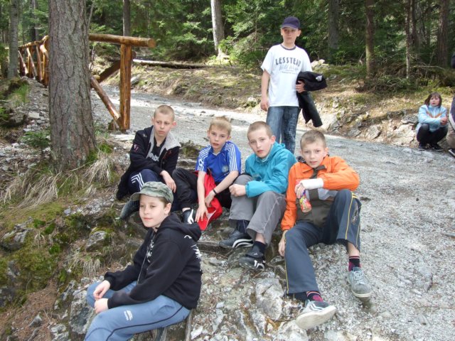 zielonaszkoasuche2010258.jpg