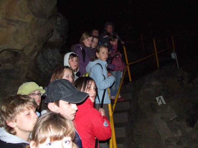 zielonaszkoasuche2010264.jpg