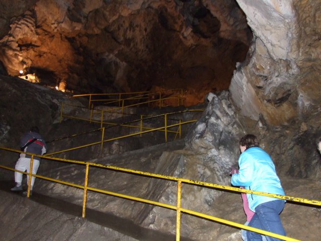 zielonaszkoasuche2010268.jpg