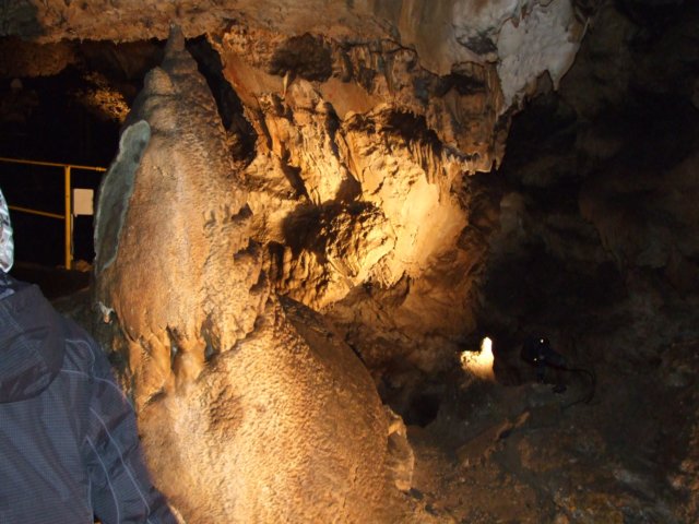 zielonaszkoasuche2010272.jpg