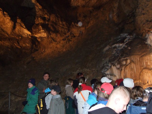 zielonaszkoasuche2010275.jpg