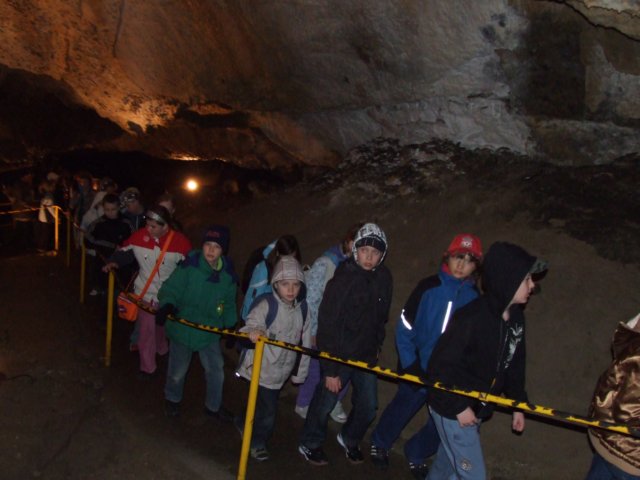 zielonaszkoasuche2010279.jpg
