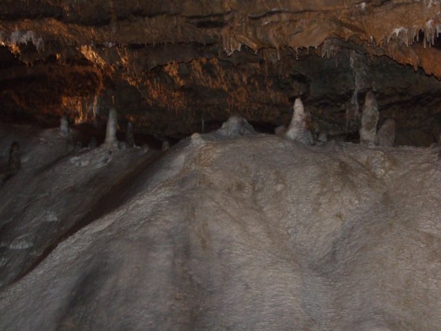 zielonaszkoasuche2010282.jpg