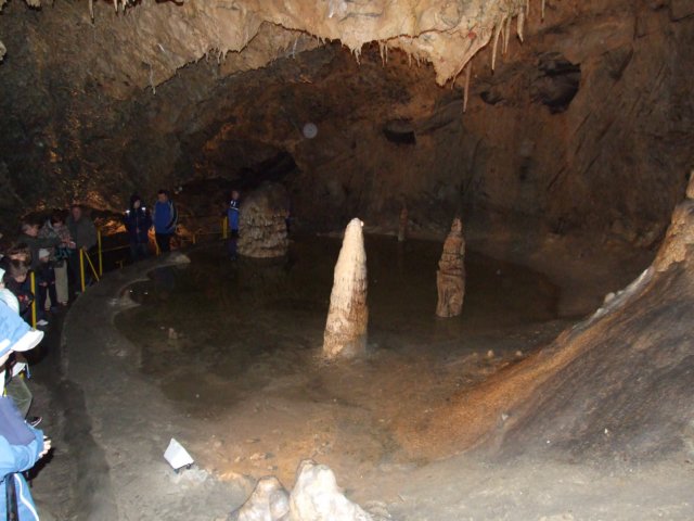 zielonaszkoasuche2010286.jpg