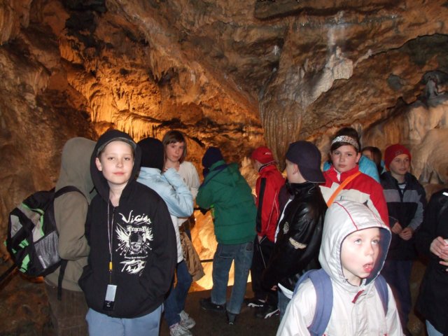 zielonaszkoasuche2010291.jpg