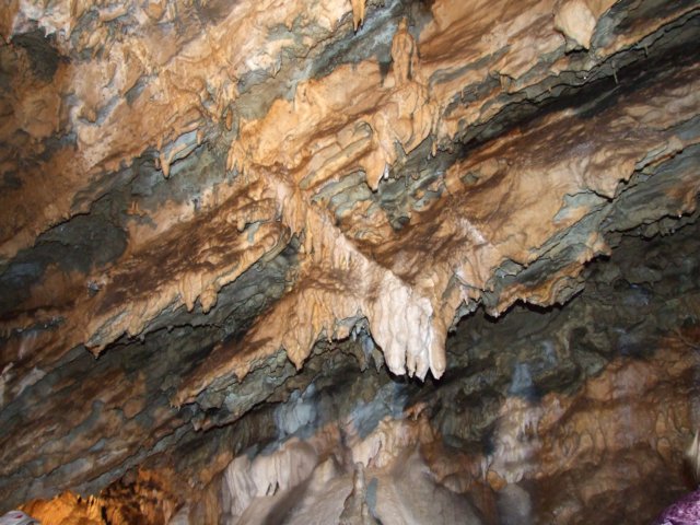 zielonaszkoasuche2010294.jpg