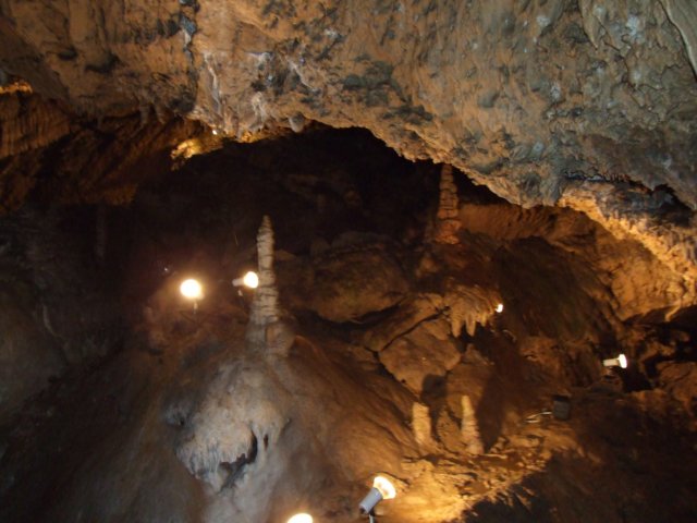 zielonaszkoasuche2010297.jpg