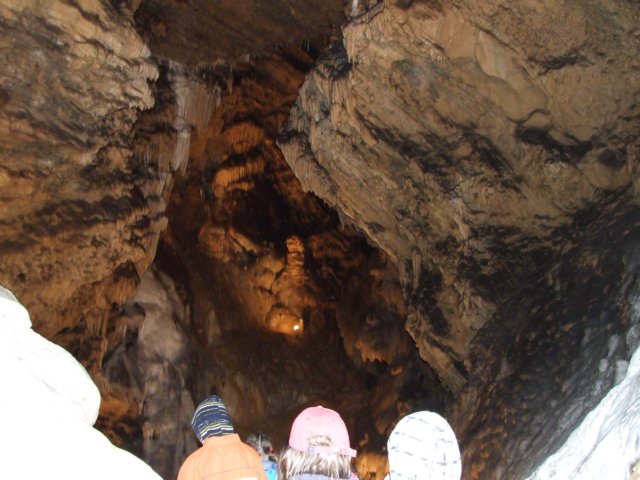 zielonaszkoasuche2010298.jpg