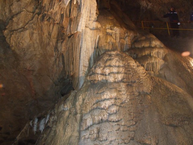 zielonaszkoasuche2010304.jpg