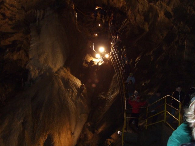 zielonaszkoasuche2010305.jpg