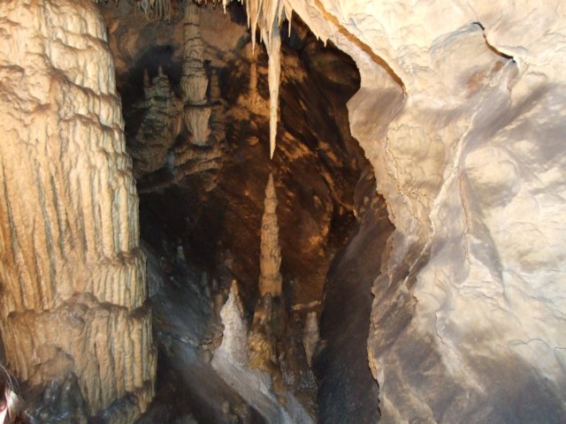 zielonaszkoasuche2010309.jpg