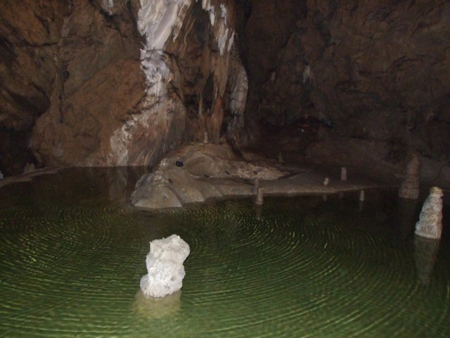 zielonaszkoasuche2010312.jpg