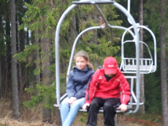 zielonaszkoasuche2010341.jpg