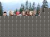 zielonaszkoasuche2010377_small.jpg