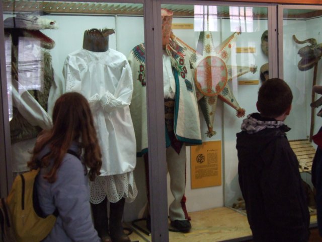 zielonaszkoasuche2010393.jpg
