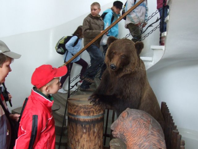 zielonaszkoasuche2010397.jpg