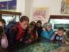 zielonaszkoasuche2010400_small.jpg