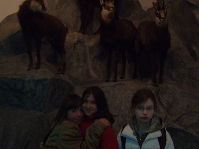 zielonaszkoasuche2010404.jpg