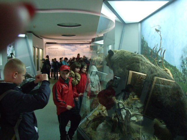 zielonaszkoasuche2010407.jpg