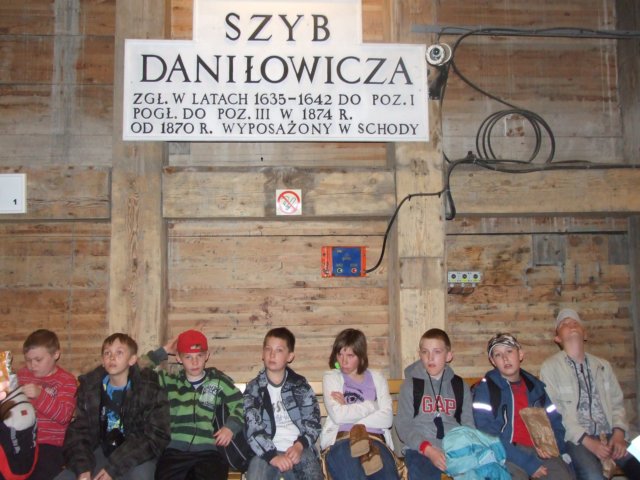 zielonaszkoasuche2010468.jpg