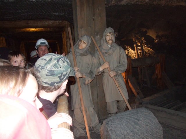 zielonaszkoasuche2010469.jpg
