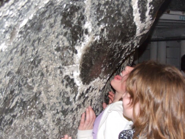 zielonaszkoasuche2010472.jpg