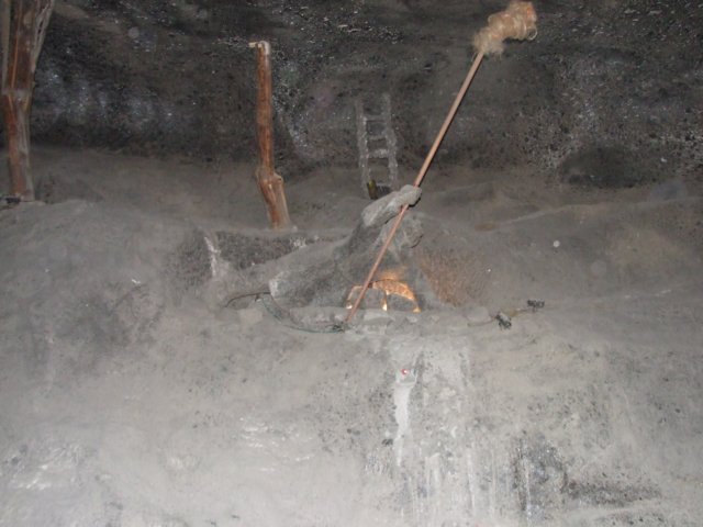 zielonaszkoasuche2010480.jpg