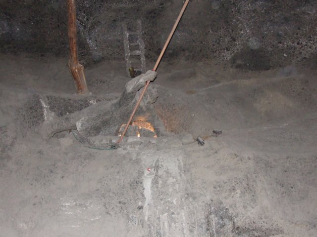 zielonaszkoasuche2010481.jpg