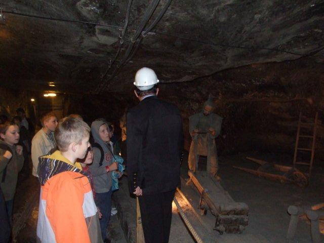 zielonaszkoasuche2010482.jpg