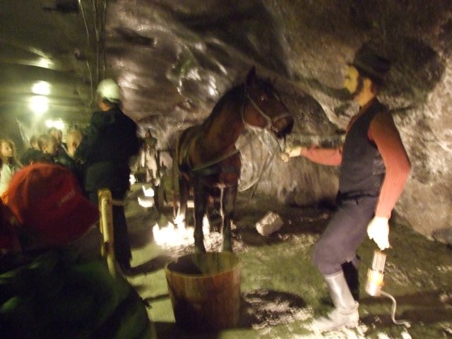 zielonaszkoasuche2010485.jpg