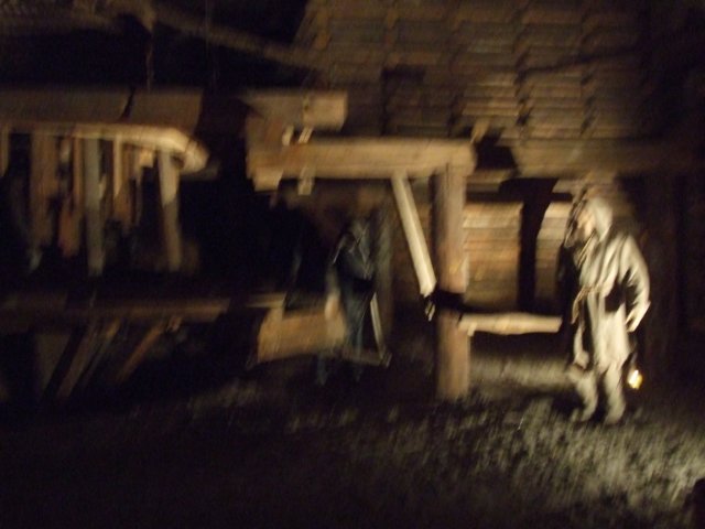 zielonaszkoasuche2010487.jpg