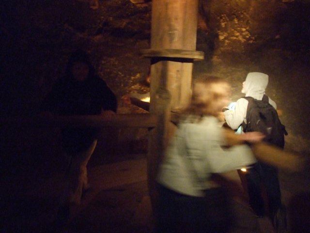 zielonaszkoasuche2010488.jpg