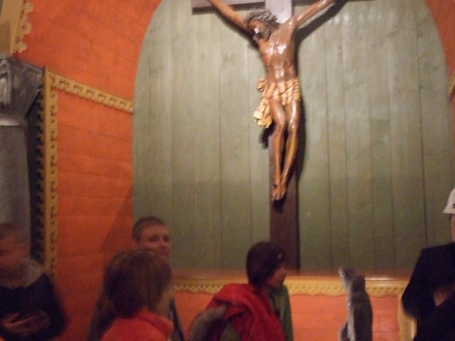 zielonaszkoasuche2010498.jpg