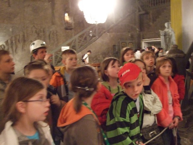 zielonaszkoasuche2010510.jpg