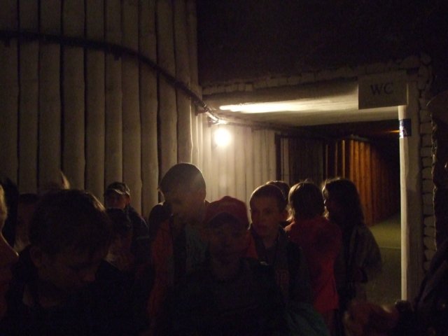zielonaszkoasuche2010523.jpg