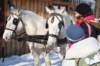 luty2010190_small.jpg