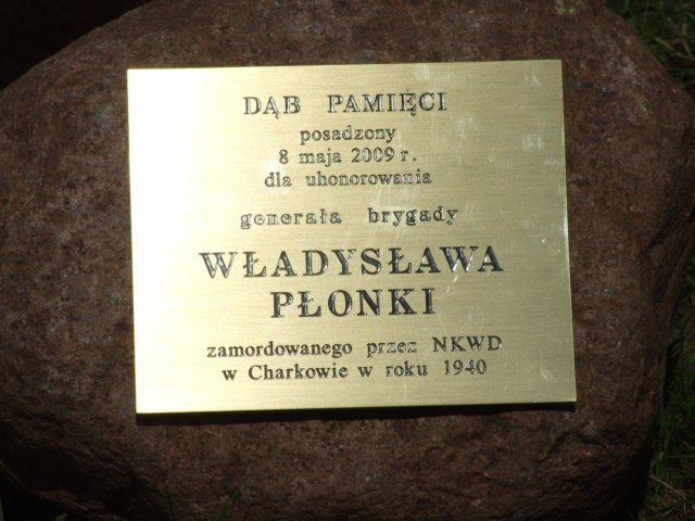 akademia169.jpg