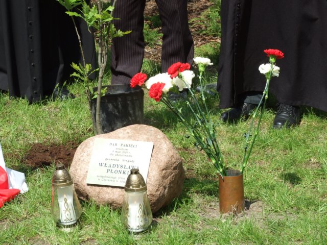 akademia179.jpg
