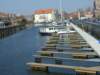 zielonaszkoajastrzbiagra2009001125_small.jpg
