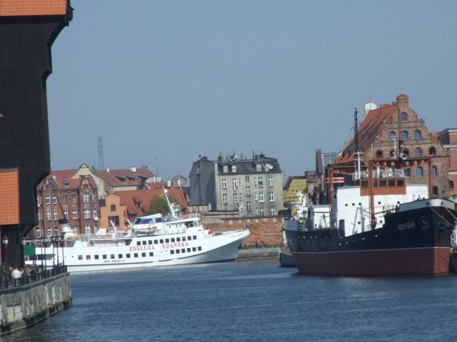 zielonaszkoajastrzbiagra2009001132.jpg