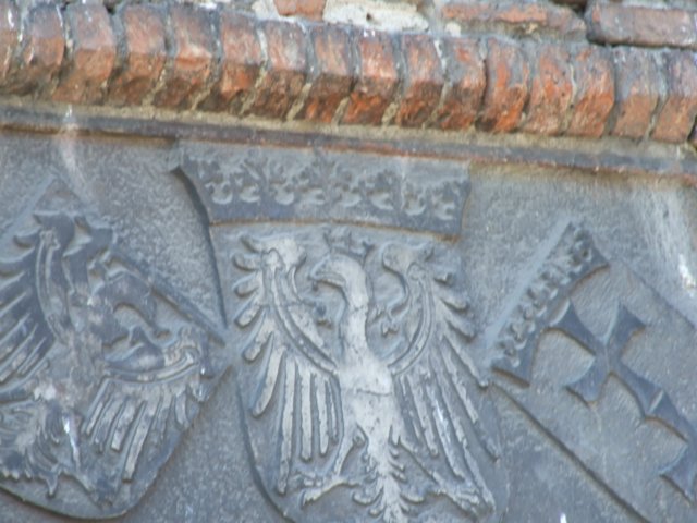 zielonaszkoajastrzbiagra2009001135.jpg