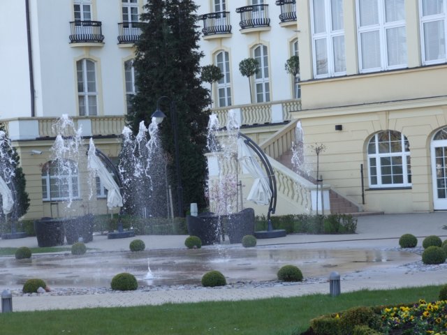 zielonaszkoajastrzbiagra2009001177.jpg
