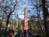 zielonaszkoajastrzbiagra2009001273_small.jpg