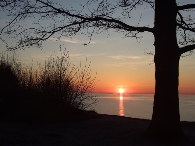 zielonaszkoajastrzbiagra2009001283.jpg