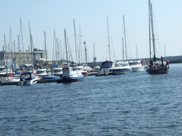 zielonaszkoajastrzbiagra2009001337.jpg