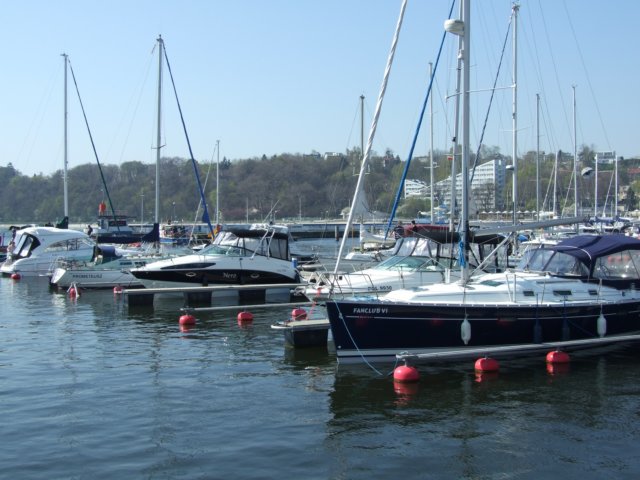 zielonaszkoajastrzbiagra2009001349.jpg