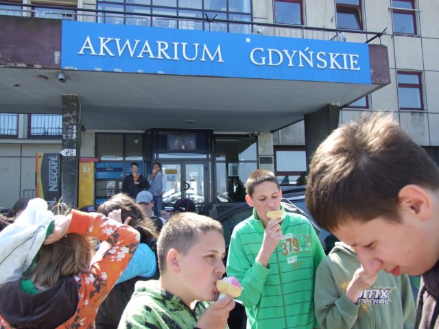 zielonaszkoajastrzbiagra2009001415.jpg