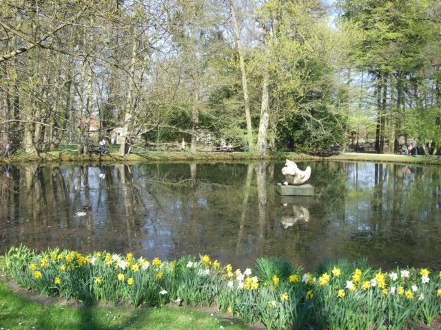 zielonaszkoajastrzbiagra2009001451.jpg