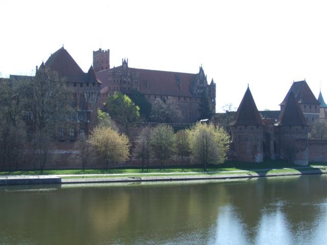 zielonaszkoajastrzbiagra2009001561.jpg